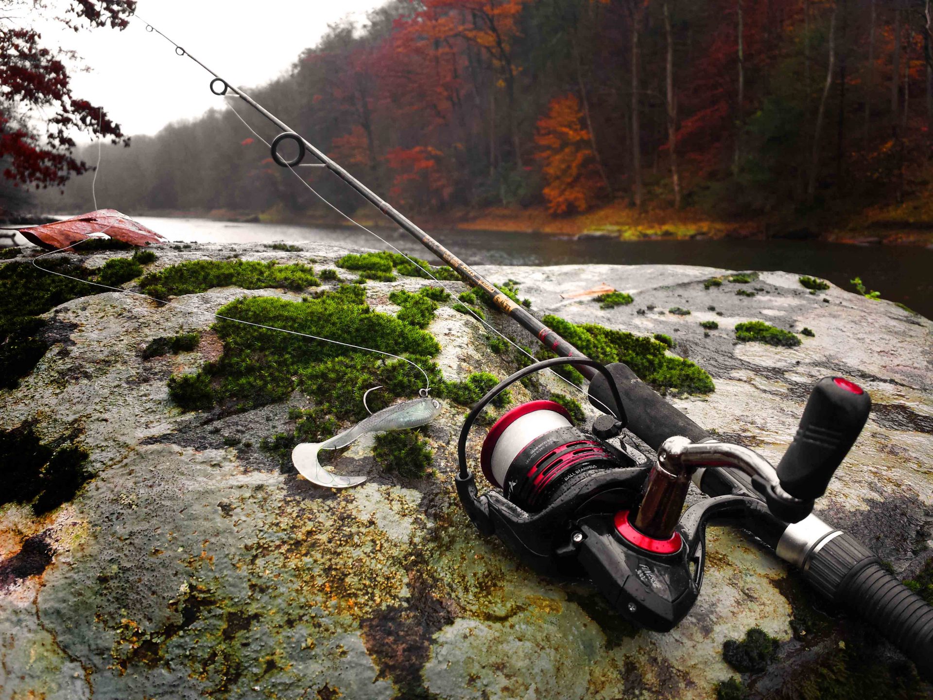 как правильно выбрать катушку для спиннинга